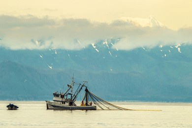 usa, alaska, tongass national forest. salmon fishing boat with net.