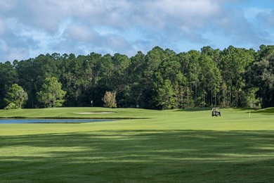 golfer in cart, cypress head golf course, port orange, florida, usa
