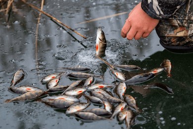 nice perch bite on winter fishing