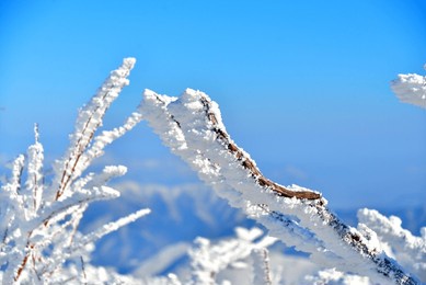 fantastic snow landscape deogyusan mountains