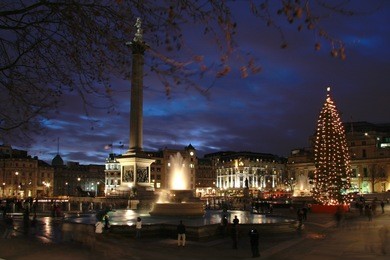 trafalgar square at night with christmas tree and fountains