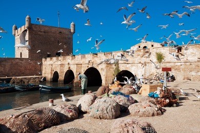 fishing boats, gear and catch on background of castelo real of mogador. essaouira, morocco