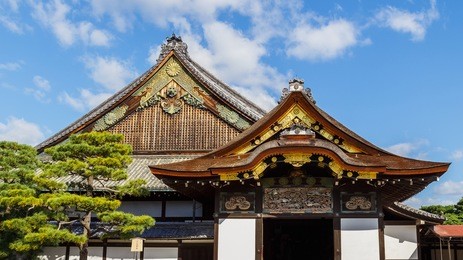 ninomaru palace at nijo castle in kyoto, japan 