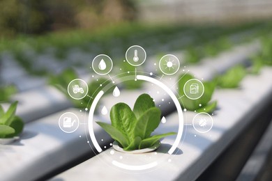 iot smart farmer concept, modern technology for sustainable practices, wiht intelligent ai digital farm to control planting. precision agriculture, climate monitoring, farm management system.