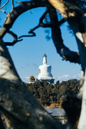 遥望白塔an aerial view of the white pagoda in beihai park