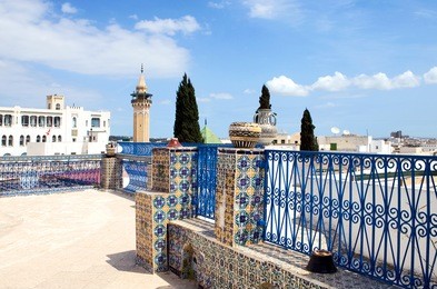 tunisia, tunis, view of traditional architectures of the city from a medina terrace