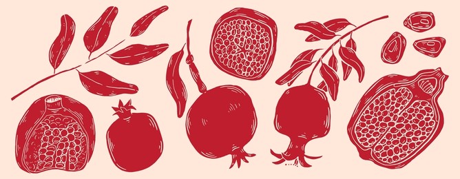 garnet fruit vector sketch illustration. linocut style hand drawn food for menu and decoration clip art. sketch pomegranate fruits and leaves on a branch, isolated engraved sign.