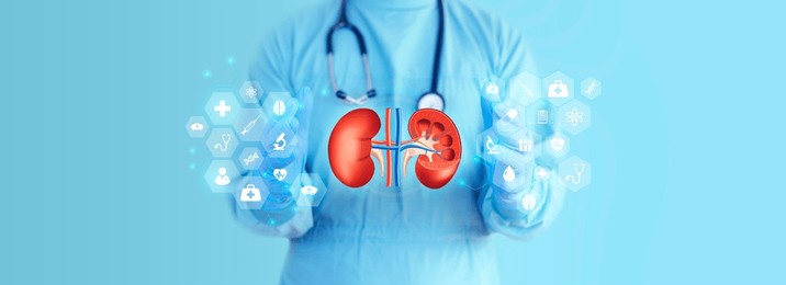 the doctor analyzes the kidneys. nephrologist on light blue background with medicine and anatomy icons.