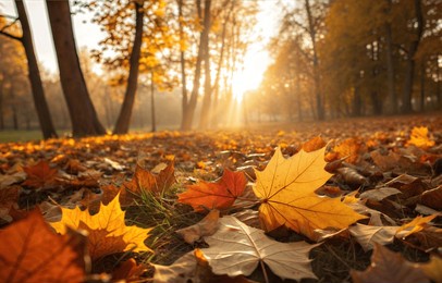 lively closeup of falling autumn leaves