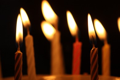 birthday candles on a cake