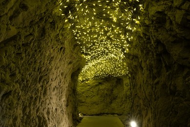 deep within the enoshima iwaya caves, a tunnel of ancient stone pulses with the golden shimmer of artificial fireflies. lights like drifting stardust cling to the rocky ceiling, illuminating the path 