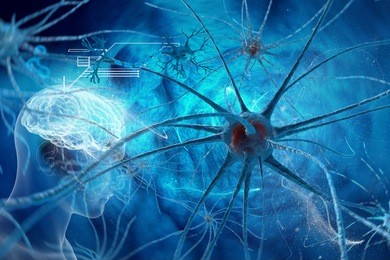 neurons - synapse in human neural system