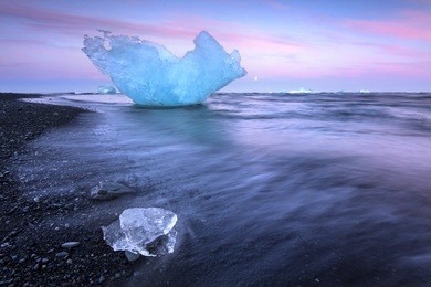icebregs on black volcanic beach jokulsarlon in south iceland/ icebergs on beach