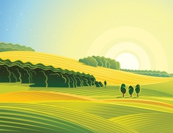 rural morning landscape with field.