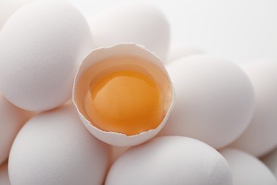eggs
