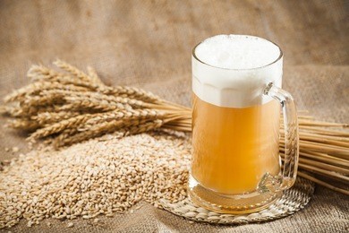 beer, brewery, hop.