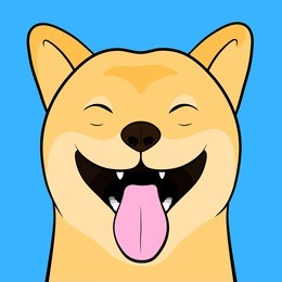 close up funny cartooned face of a laughing shiba inu dog with tongue out isolated on a light blue background.