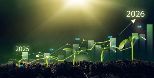 seedling are growing from soil with growth comparative year 2025 to 2026. concept of business growth, profit, agriculture, development and success grap