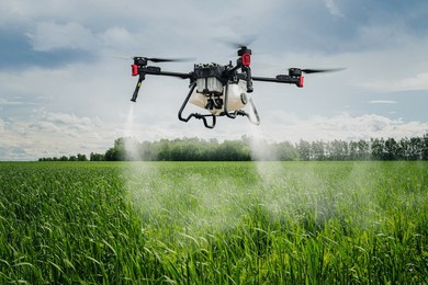 an industrial drone on green field. sprays useful pesticides to increase productivity and destroy harmful insects. increase productivity. modern technologies in agriculture