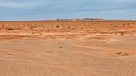 the landscape of the gobi desert in mongolia
