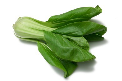 baby pak choy (chinese cabbage) isolated on white