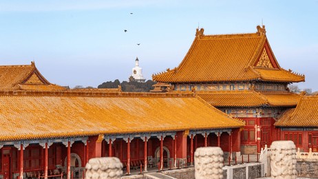 the forbidden city in beijing, china, displays its iconic golden rooftops and traditional architecture, with the white pagoda of beihai park visible in the background under a clear sky.