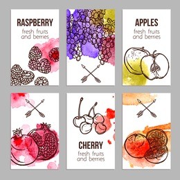 business cards set with fresh watercolor fruits and berries isolated vector illustration