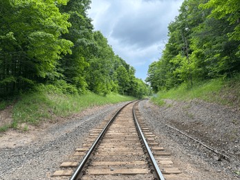 train tracks through forest land