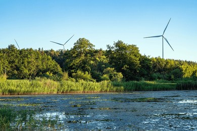 a horizontal view of a beautiful wild landscape with wetlands, green vegetation, and a wind farm in the background.