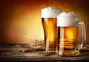 two mugs of beer and wheat on a wooden table