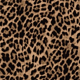leopard skin pattern, animal leather seamless design