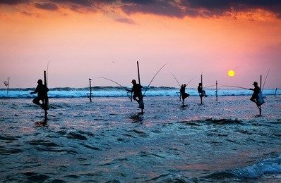 silhouettes of the traditional stilt fishermen at sunset near galle in sri lanka