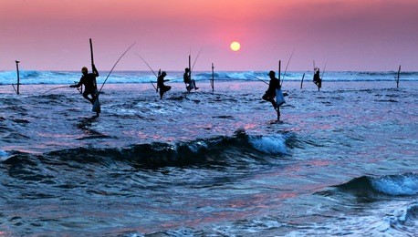 silhouettes of the traditional stilt fishermen at sunset near galle in sri lanka