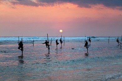 silhouettes of the traditional stilt fishermen at sunset near galle in sri lanka