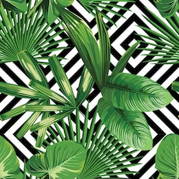 print summer exotic jungle plant  tropical palm leaves. pattern, seamless floral vector on the black white geometric background. nature wallpaper.