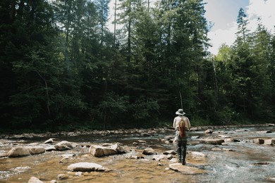 fisherman casts his line into a clear river flowing through a tranquil forest, enjoying the serenity of nature while fly fishing