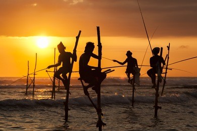 sri-lanka traditional stilt fisherman