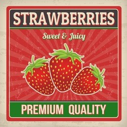 strawberries vintage grunge retro poster, vector illustration