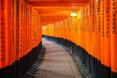 torii gates in fushimi inari shrine, kyoto, japan