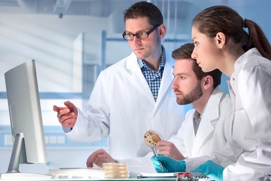 group of scientists working at the laboratory