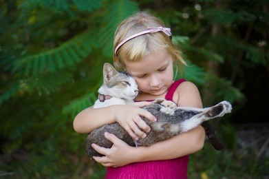 adorable girl in red dress hold nice cat on hands