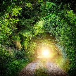 fantasy landscape with a green tunnel of illuminated trees on a forest path leading to a mysterious light. brightly lit outdoor night shot.