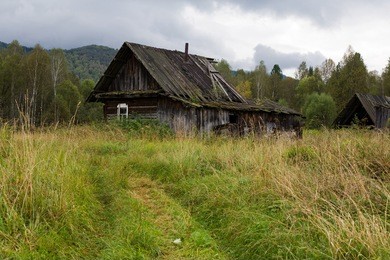 wooden house in the woods