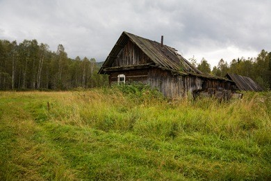 wooden house in the woods