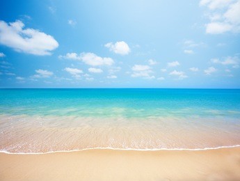 beach and tropical sea