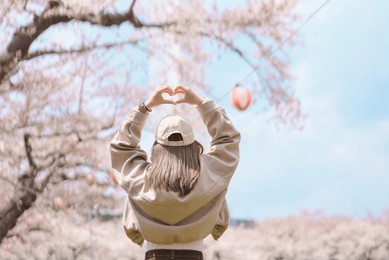 woman tourist sightseeing goryokaku tower park with sakura cherry blossom in spring, happy traveler travel in hakodate city, hokkaido, japan. famous landmark, japan travel and vacation destination