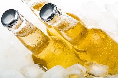beer, beer bottle, ice.
