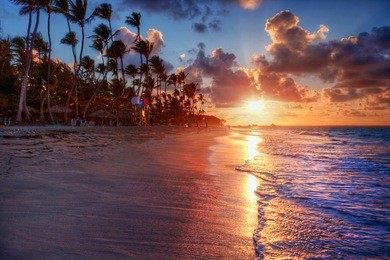 palm trees blowing in the sea breeze at sunset on a luxurious sandy beach shore