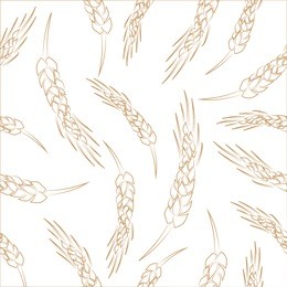 hand drawn seamless vector wheat ears background