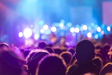 people at the concert